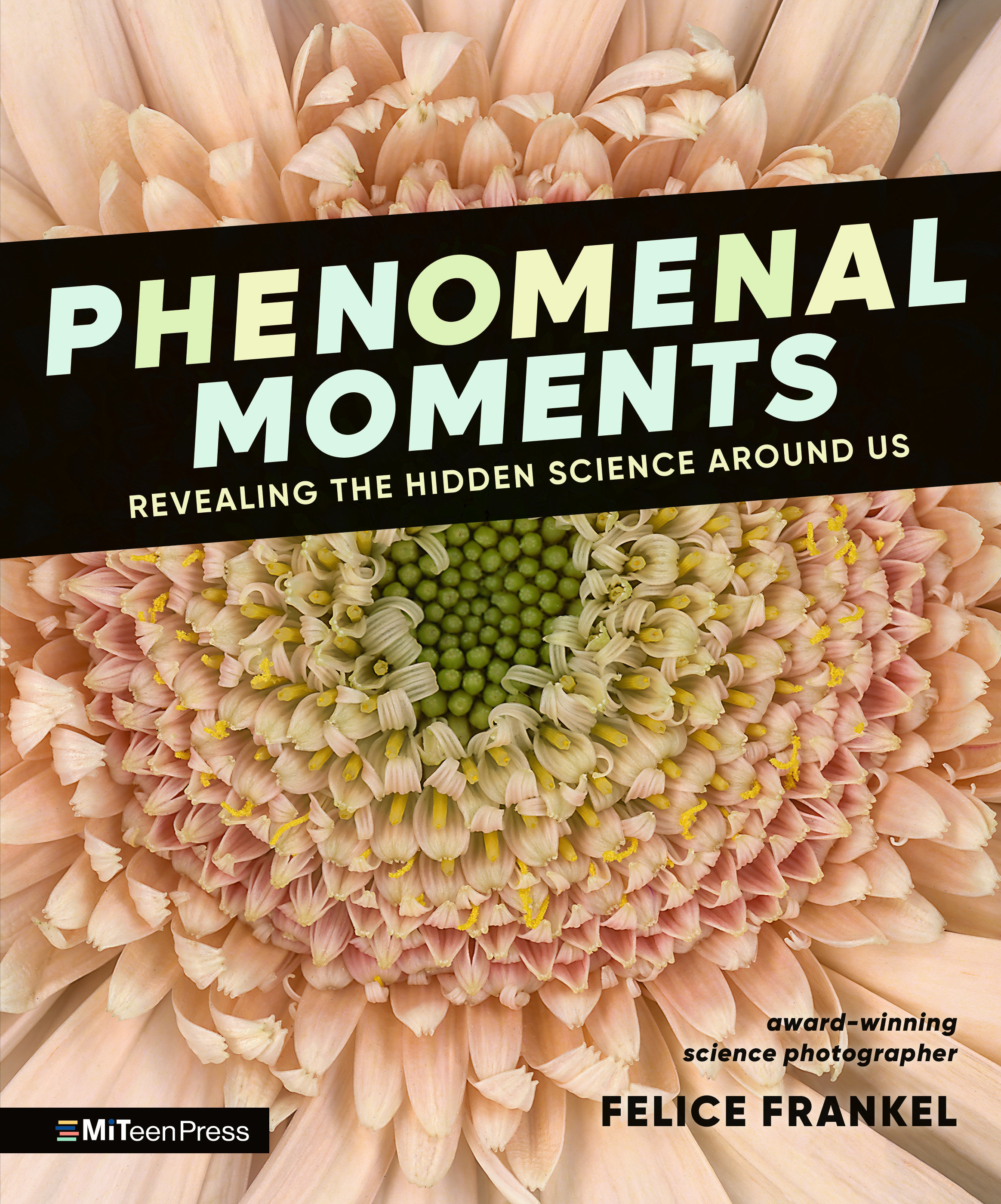 Phenomenal Moments: Revealing the Hidden Science Around US by Felice Frankel