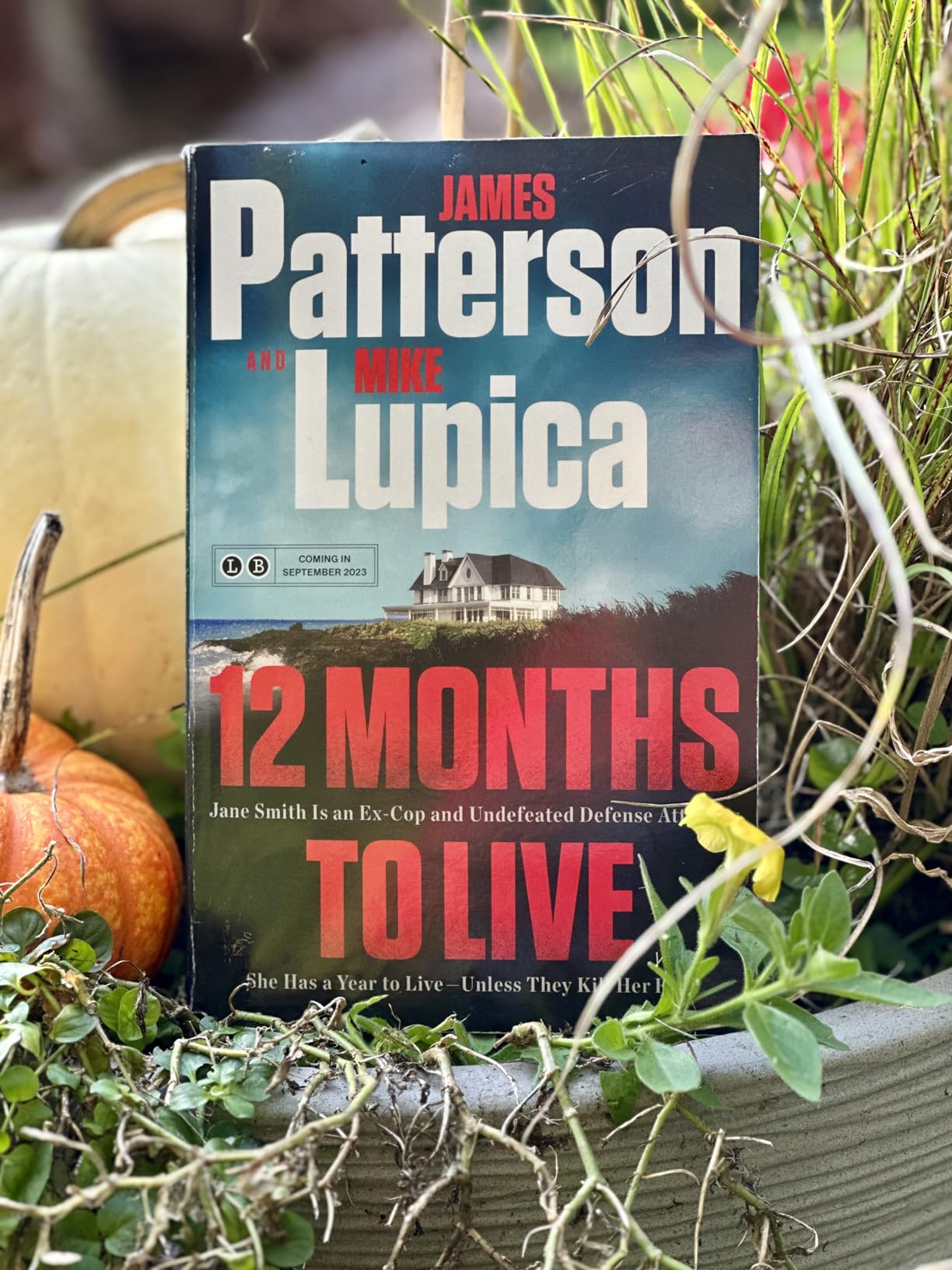 12 Months to Live by James Patterson