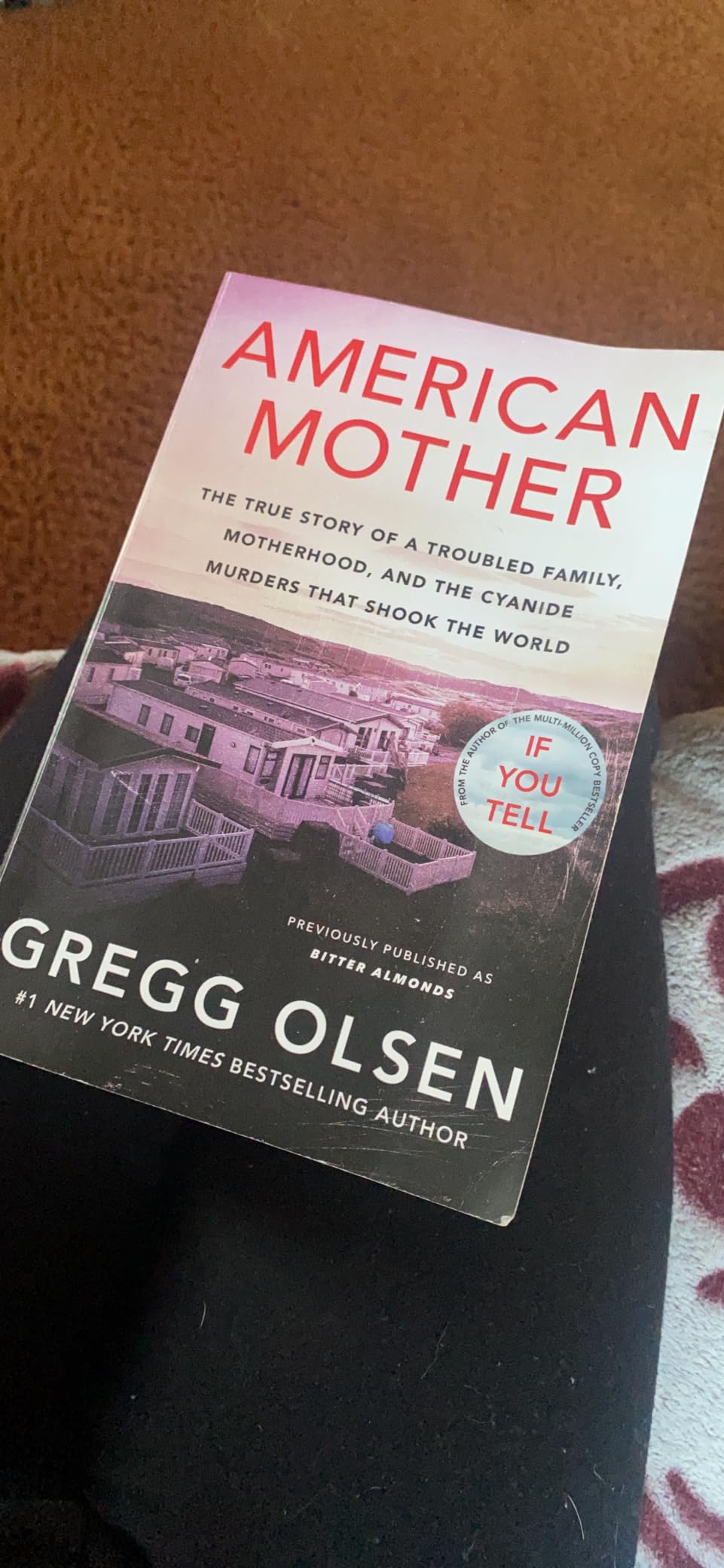 American Mother by Gregg Olsen