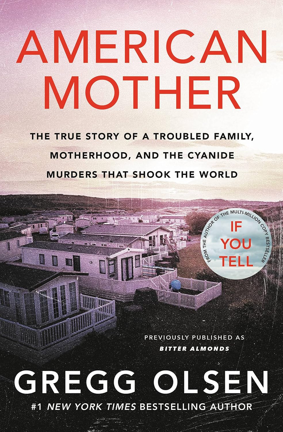American Mother by Gregg Olsen