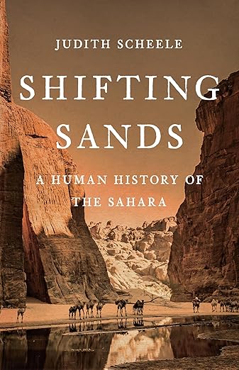 Shifting Sands by Judith Scheele
