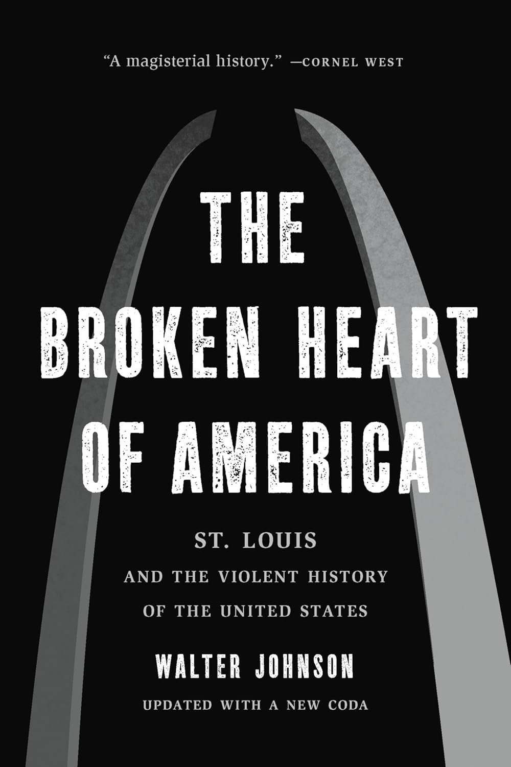 The Broken Heart of America by Walter Johnson
