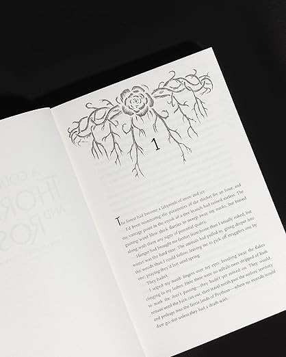 A Court of Thorns and Roses Collector's Edition by Sarah J. Maas