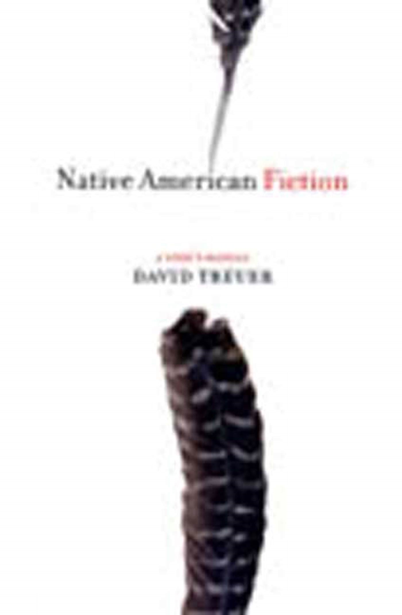 Native American Fiction by David Treuer