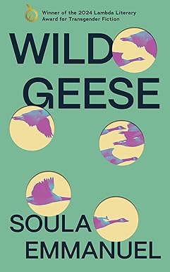 Wild Geese by Soula Emmanuel