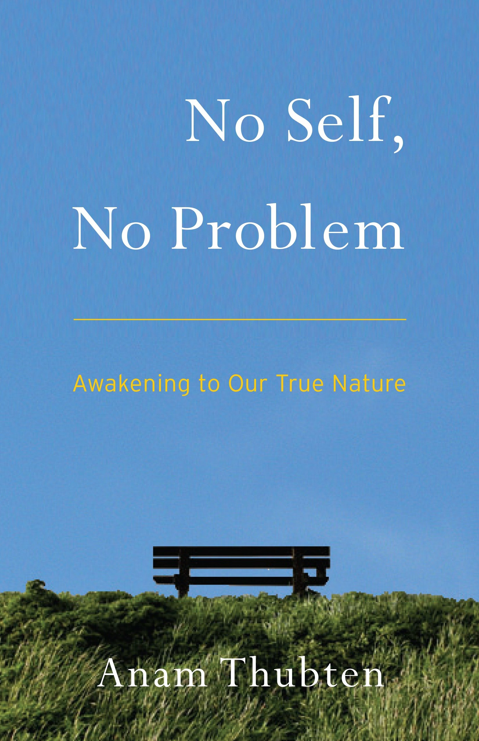 No Self, No Problem by Anam Thubten