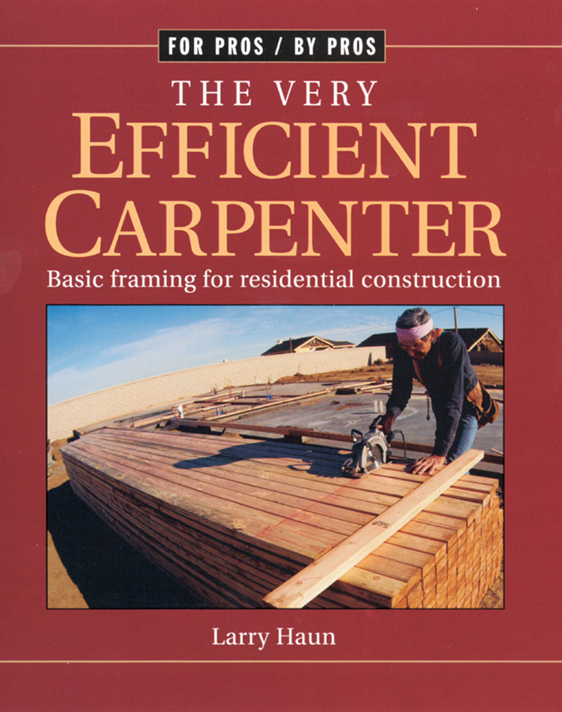 The Very Efficient Carpenter by Larry Haun