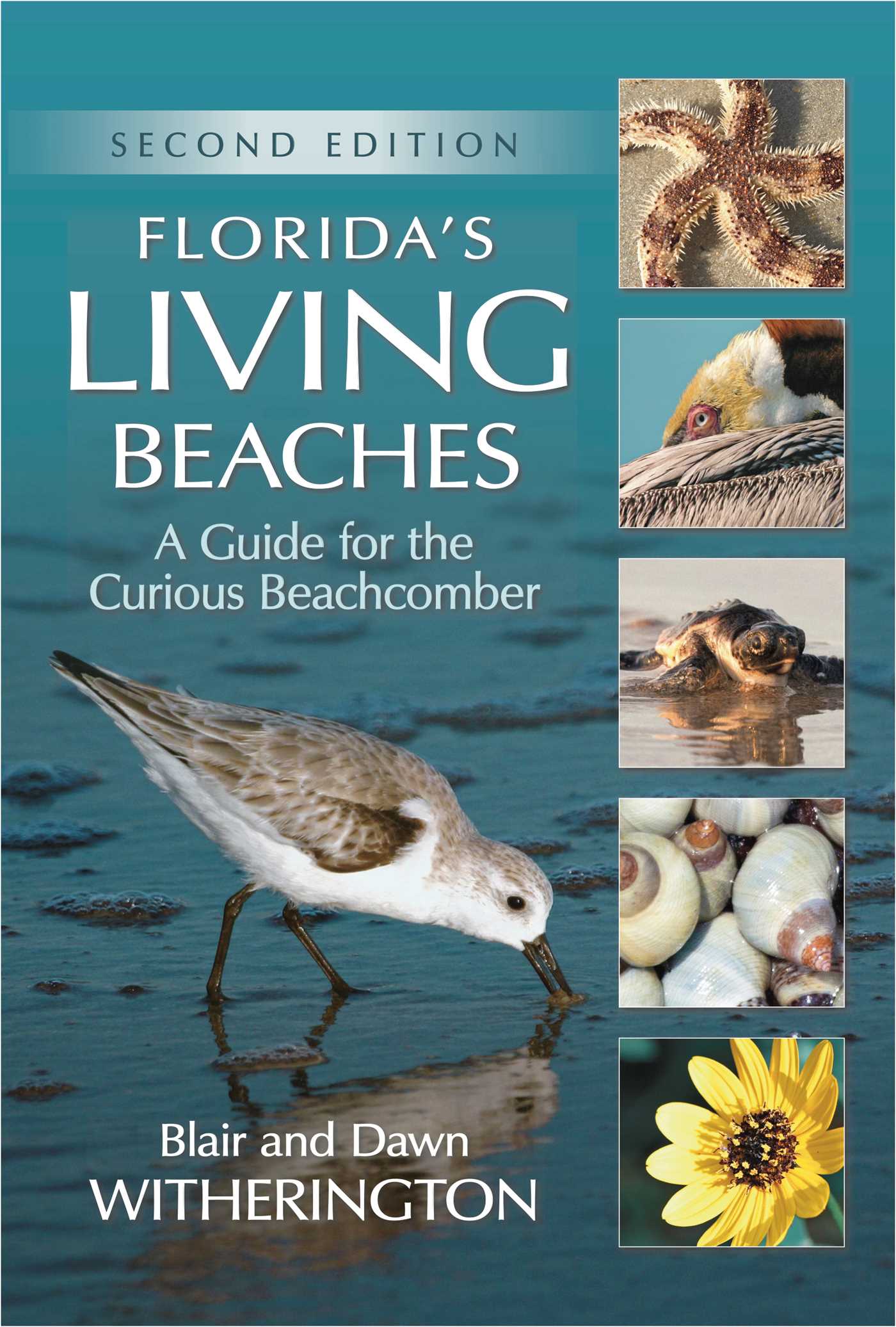 Florida's Living Beaches by Blair Witherington