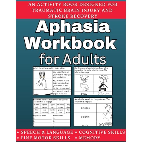 The Mild Traumatic Brain Injury Workbook