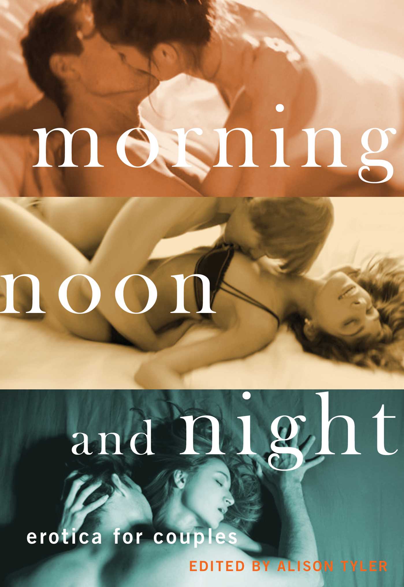 Morning, Noon and Night by Alison Tyler