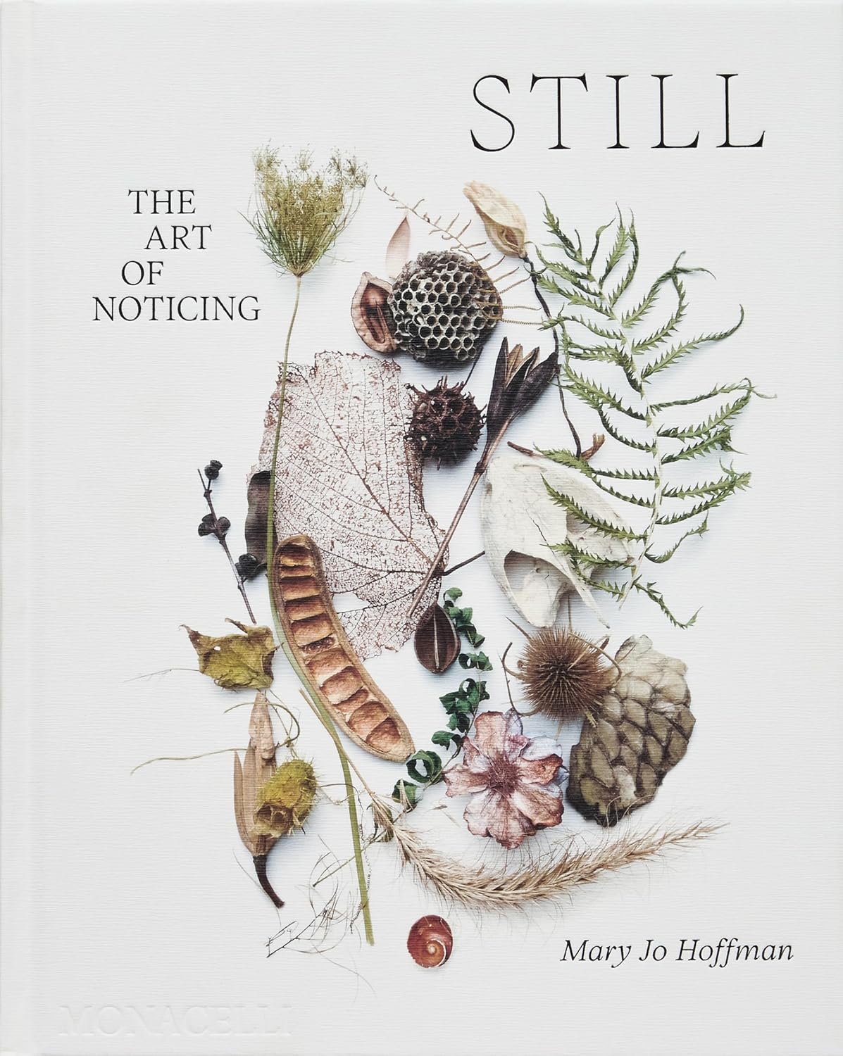 STILL by Mary Jo Hoffman