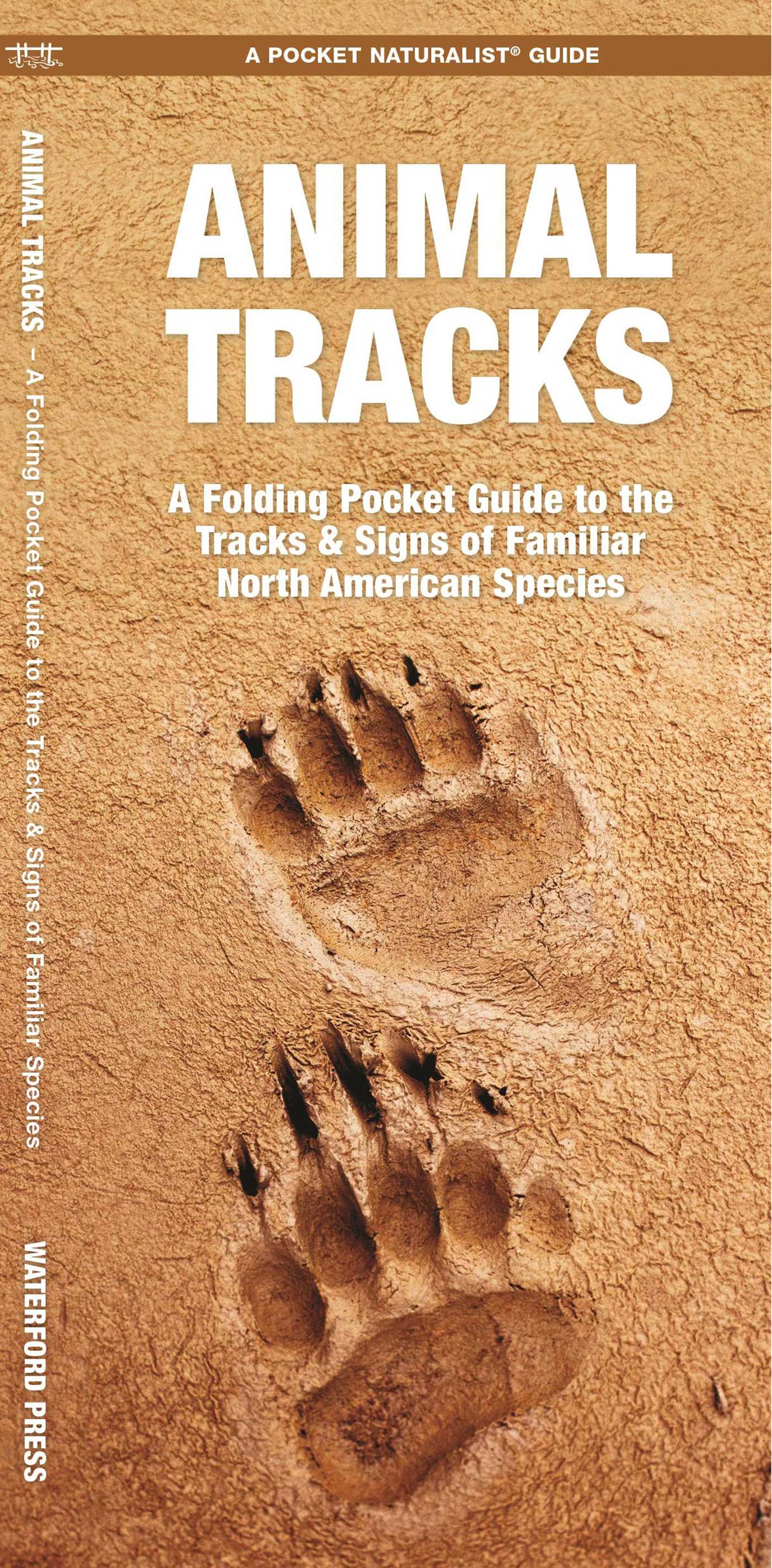 Animal Tracks by James Kavanagh