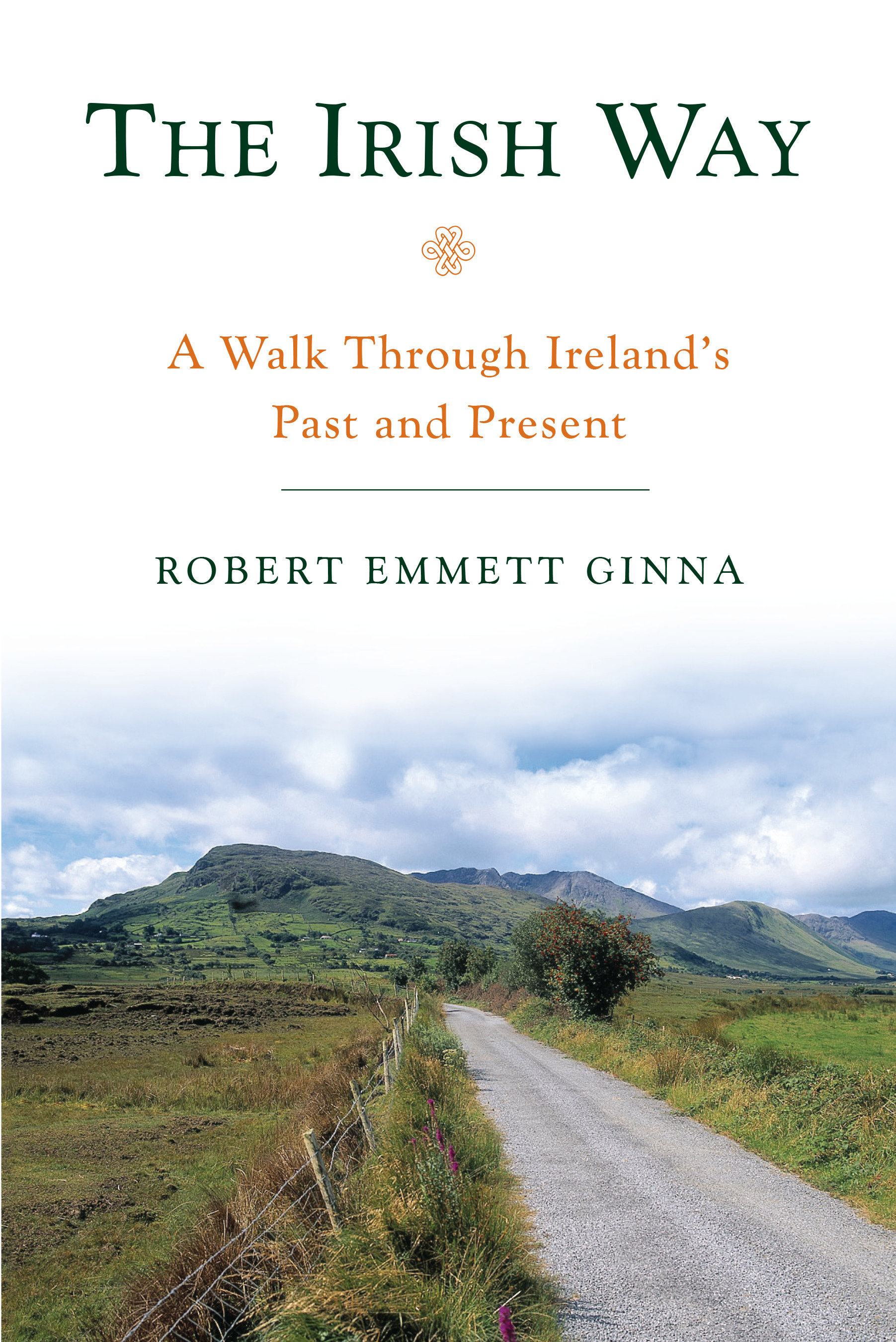 The Irish Way by Robert Emmett Ginna