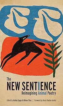 The New Sentience by Ashley Capps