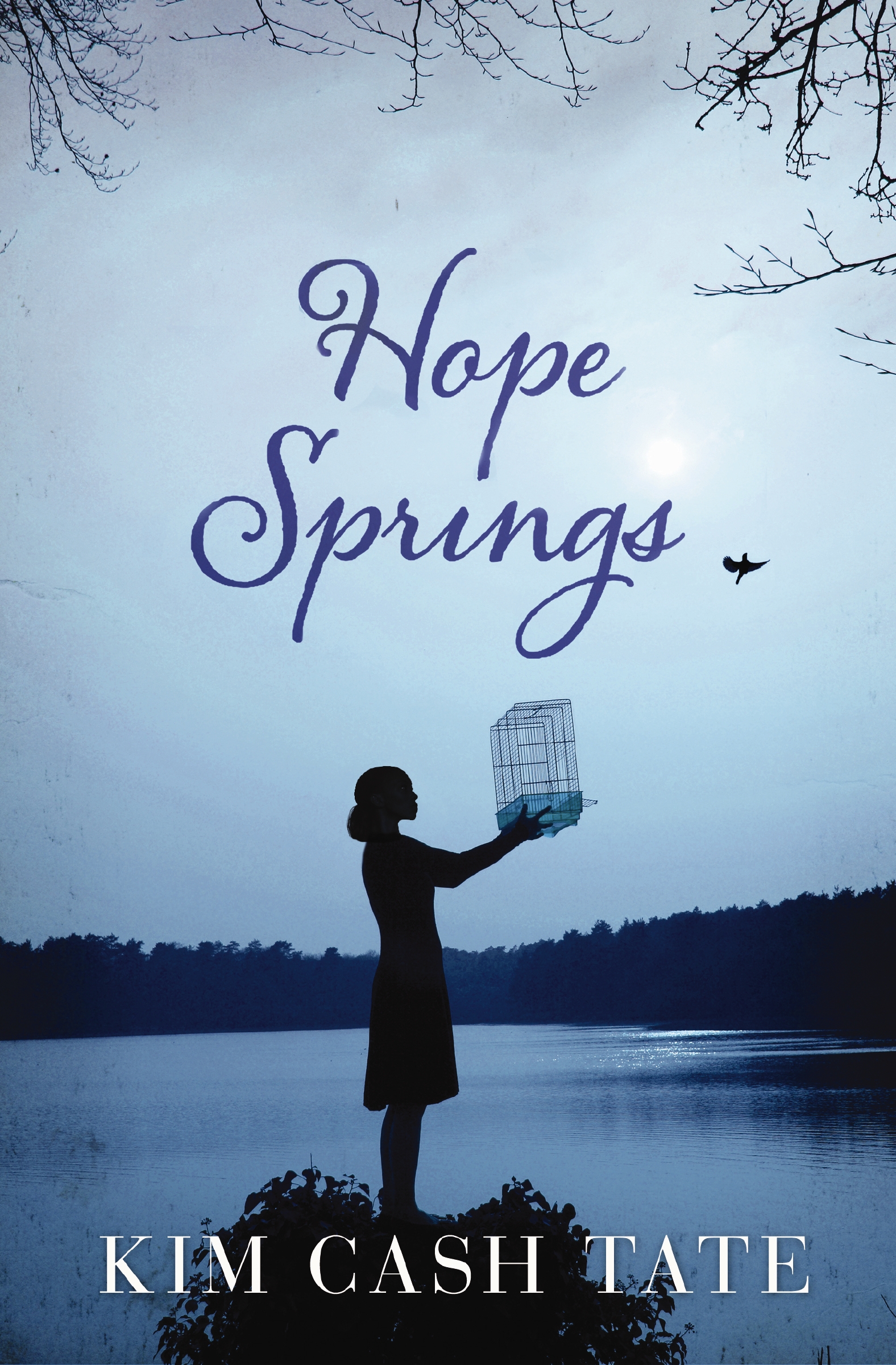Hope Springs by Kim Cash Tate
