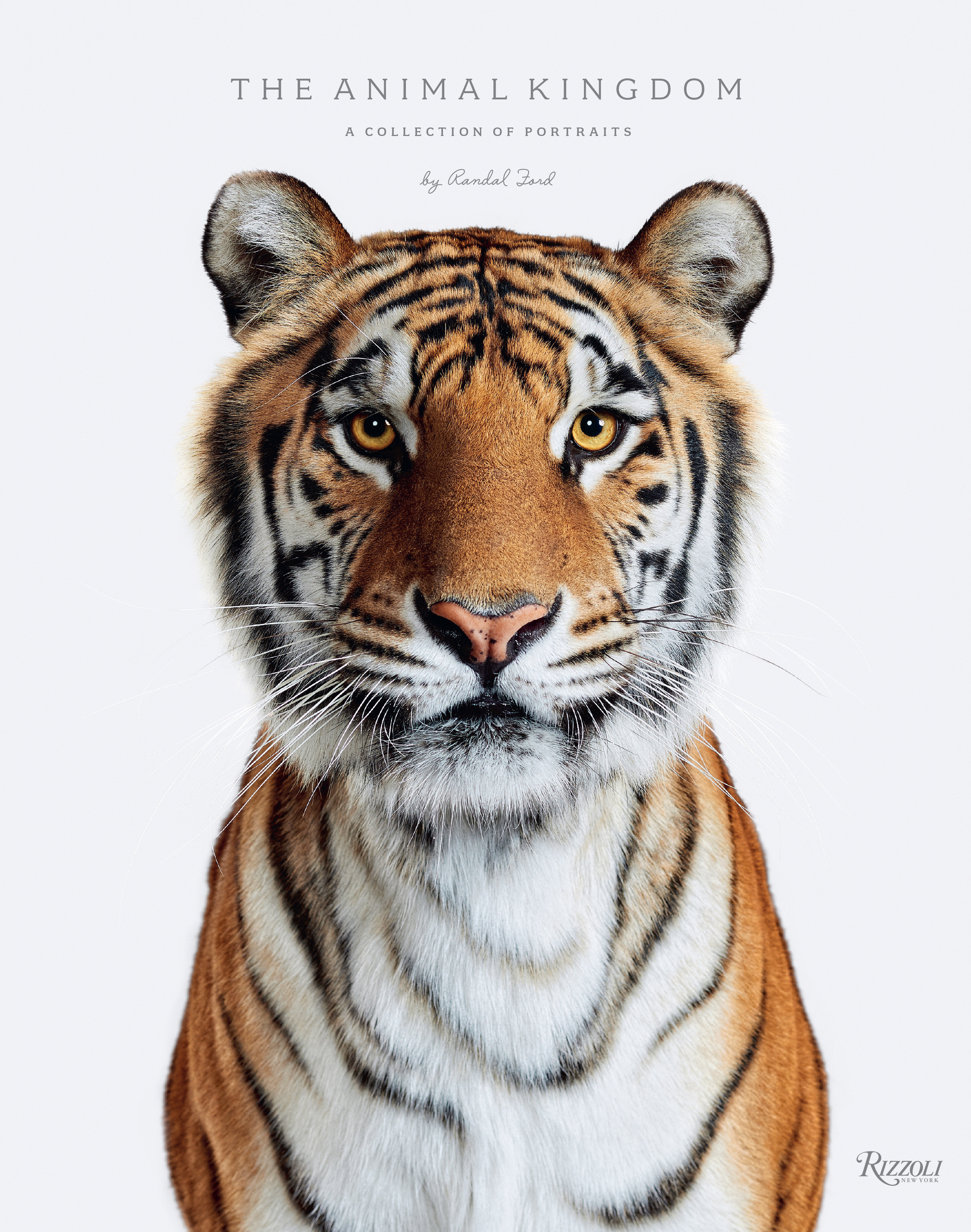 Animal Kingdom by Randal Ford