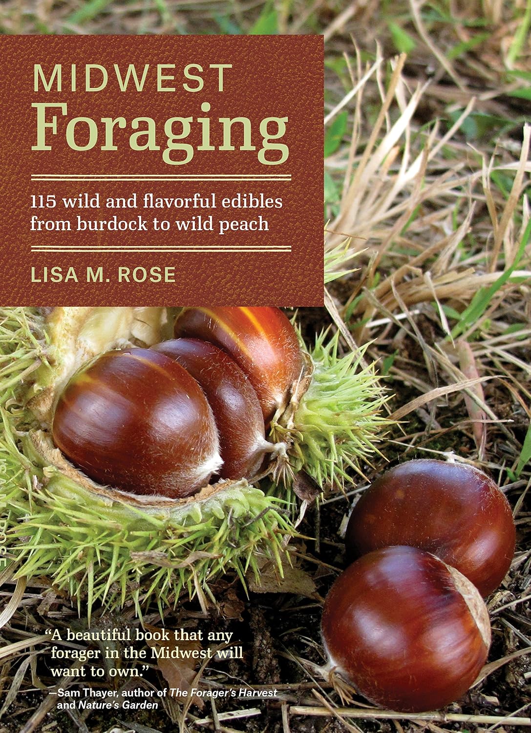 Midwest Foraging by Lisa M. Rose