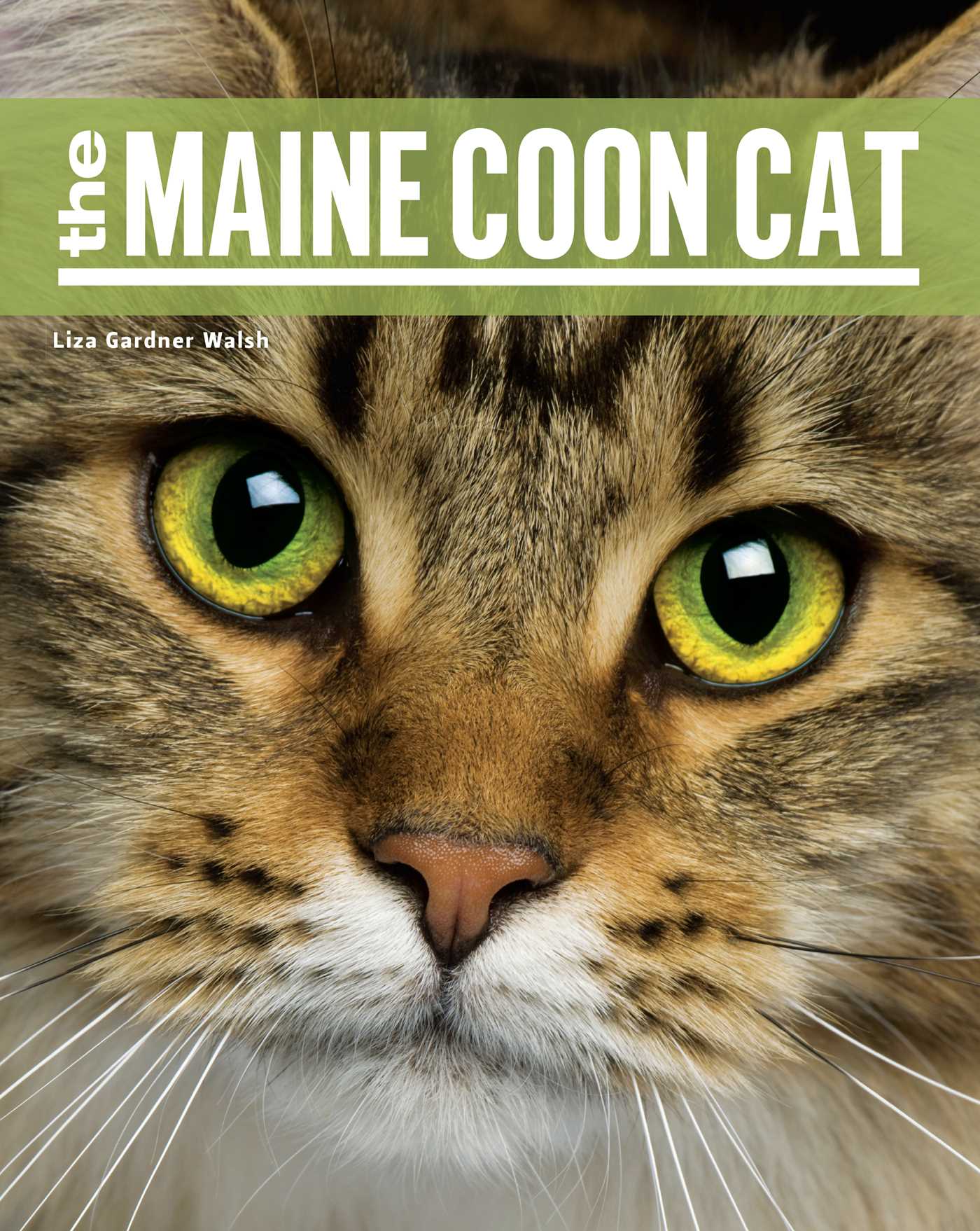 The Maine Coon Cat by Liza Gardner Walsh