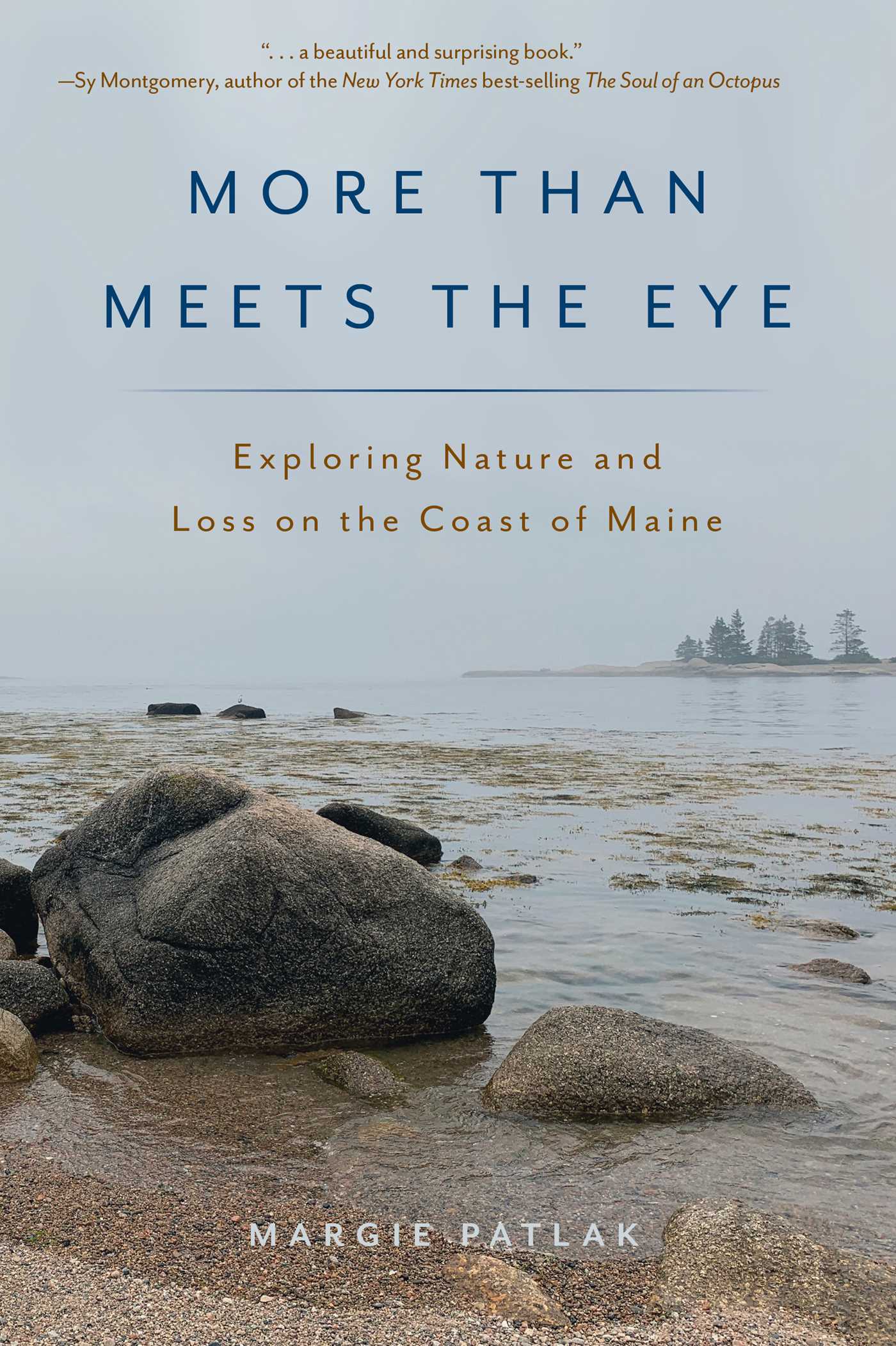 More Than Meets the Eye by Margie Patlak
