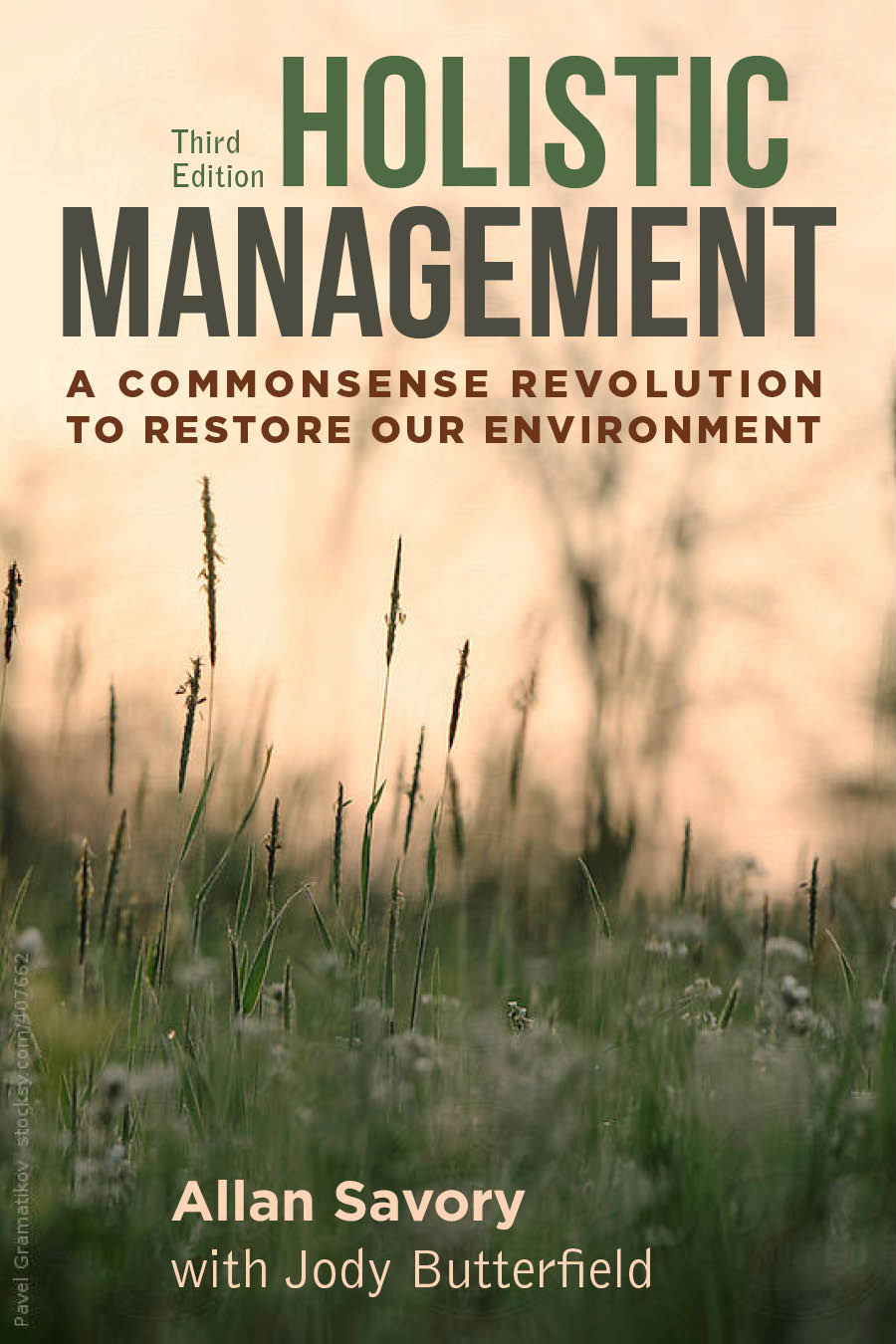 Holistic Management, Third Edition by Allan Savory
