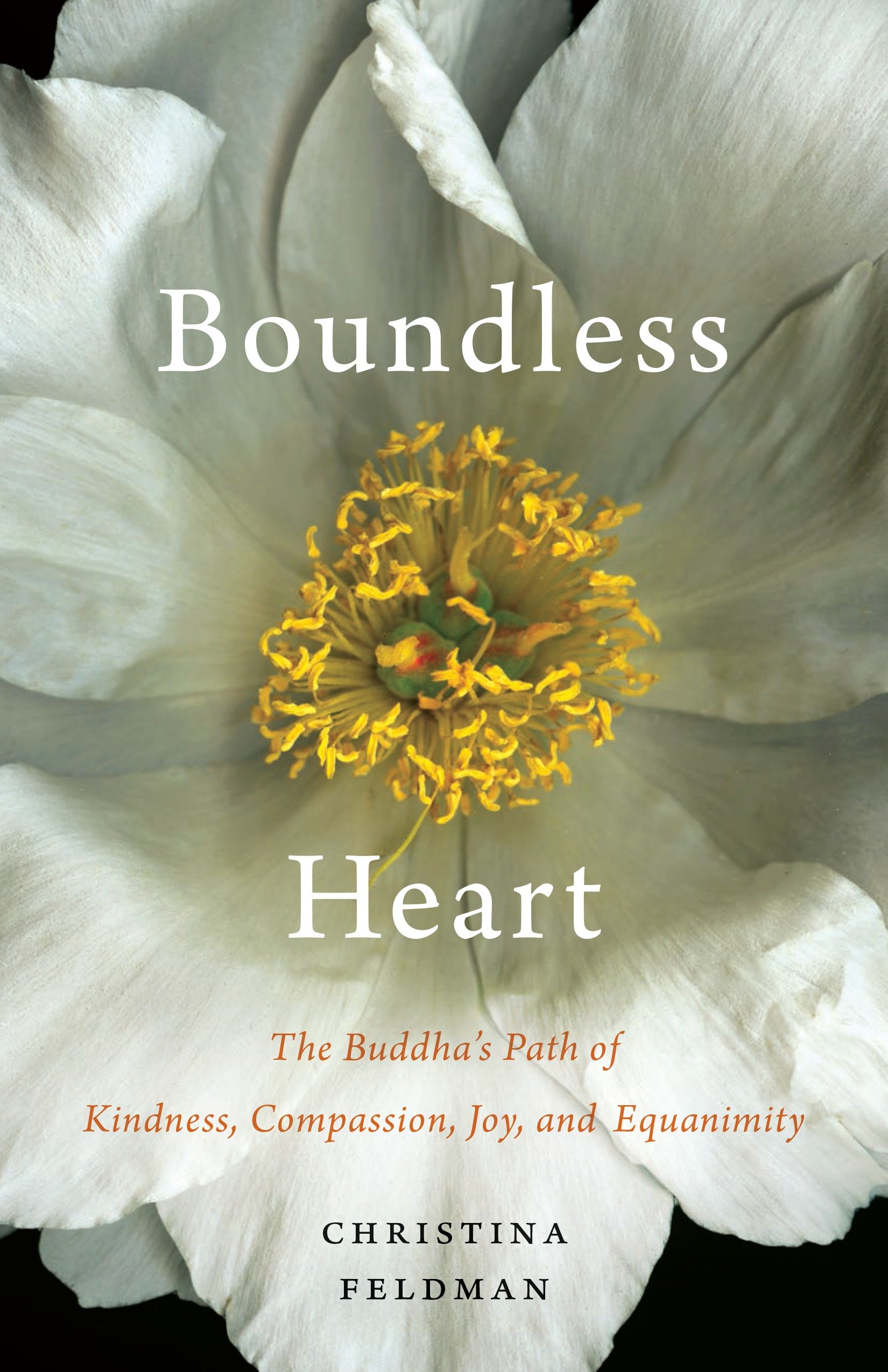 Boundless Heart by Christina Feldman