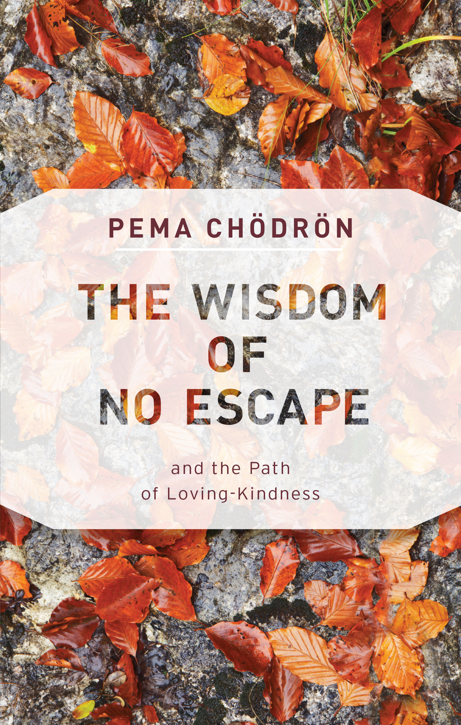 The Wisdom of No Escape by Pema Chodron