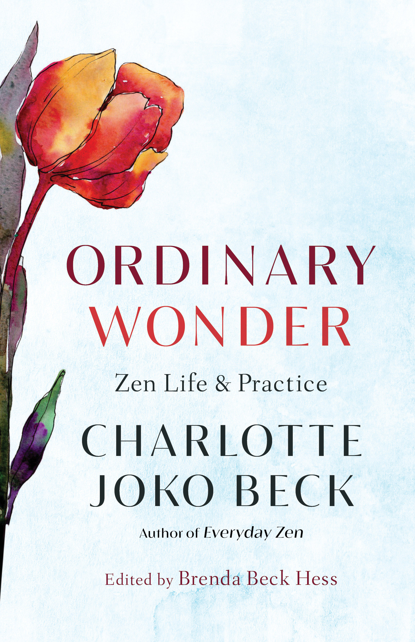 Ordinary Wonder by Charlotte Joko Beck