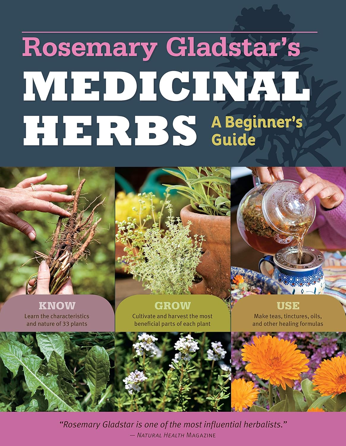Rosemary Gladstar's Medicinal Herbs: a Beginner's Guide by Rosemary Gladstar