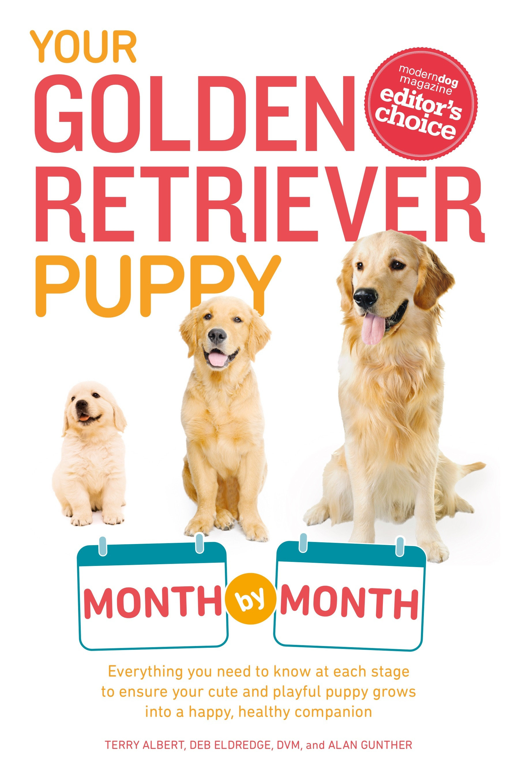 Your Golden Retriever Puppy Month by Month by Terry Albert