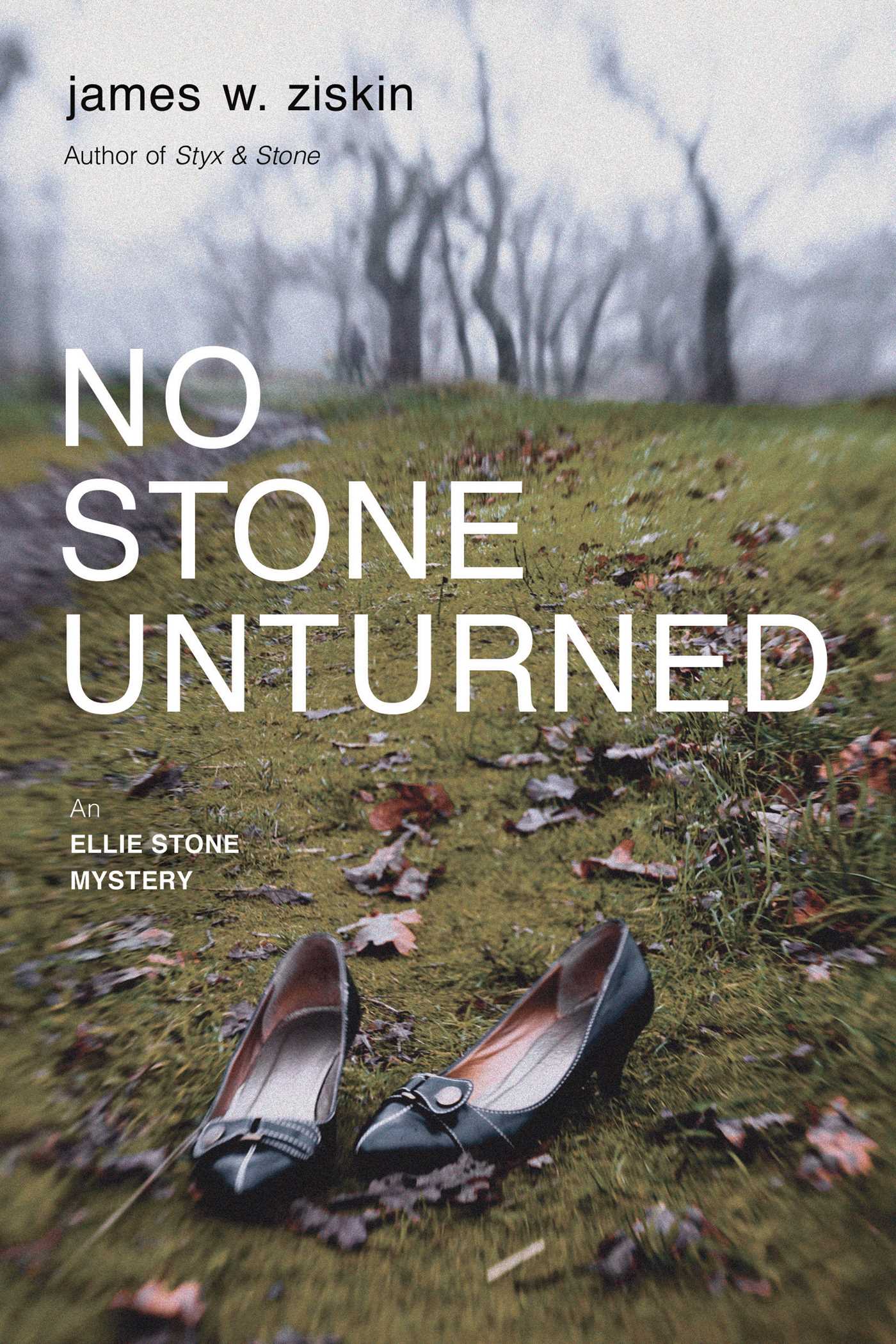 No Stone Unturned cover