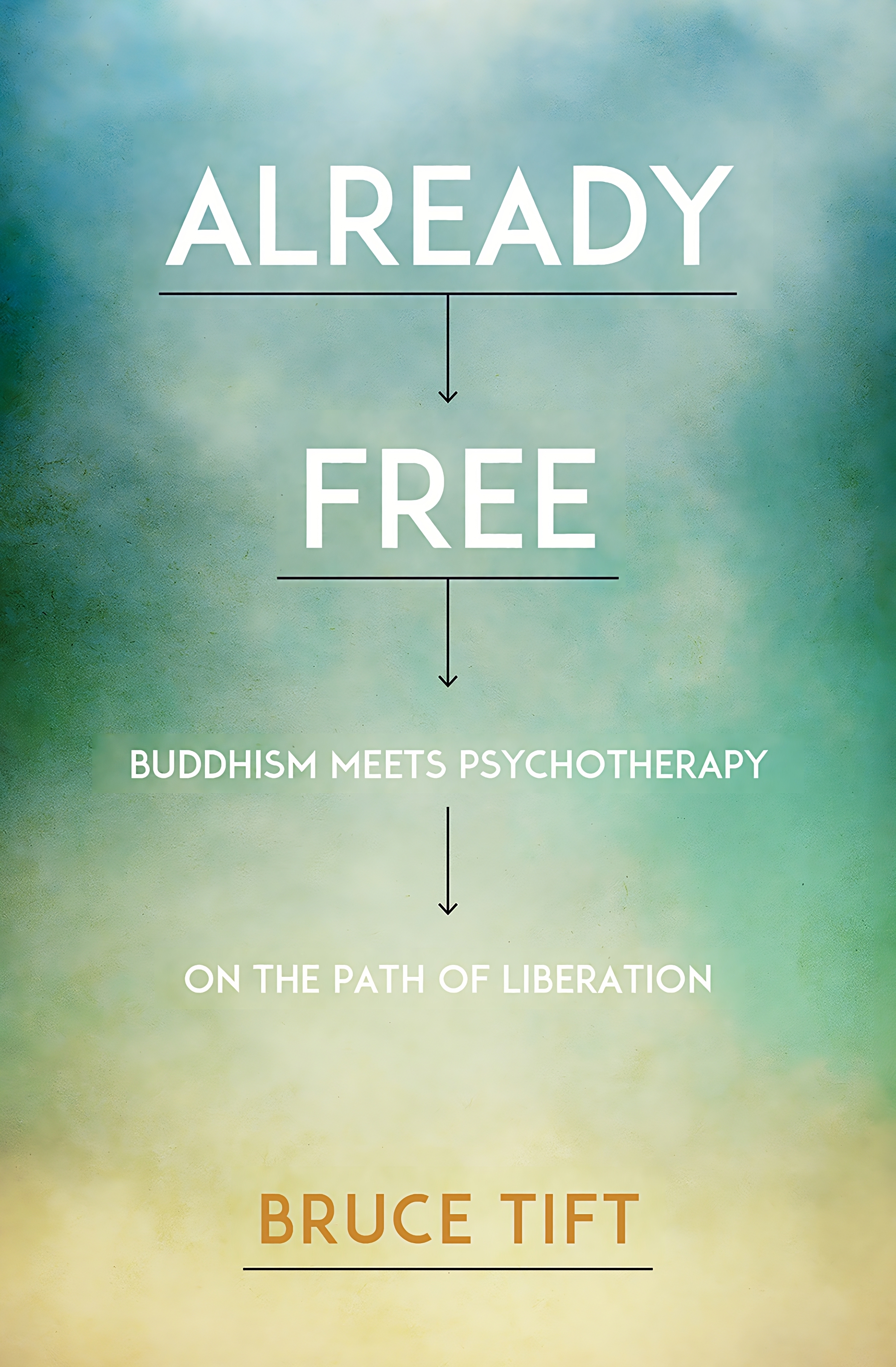 Already Free by Bruce Tift MA LMFT