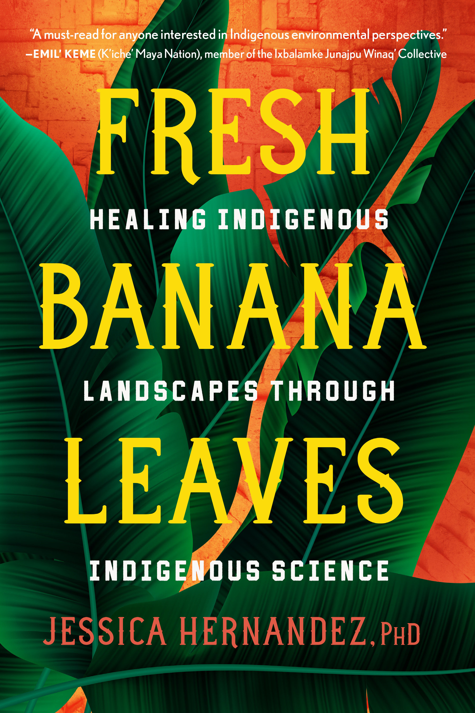 Fresh Banana Leaves by Jessica Hernandez Ph.D.