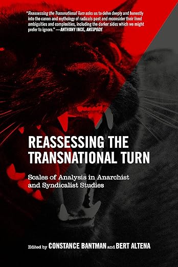 Reassessing the Transnational Turn by Bert Altena