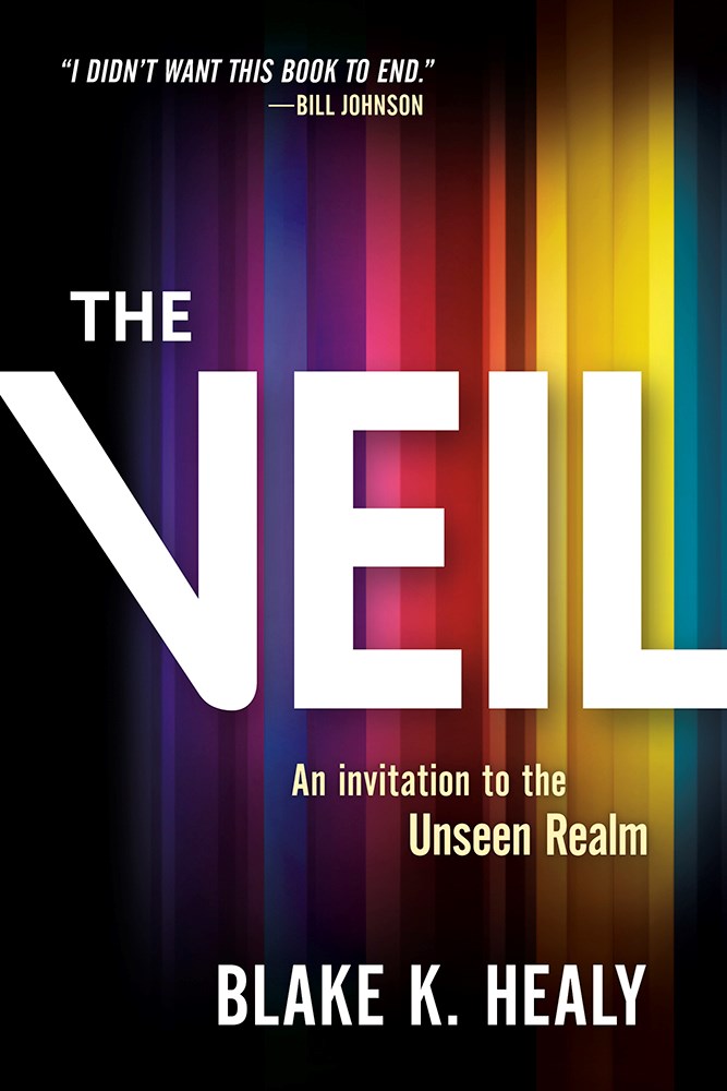 The Veil by Blake K. Healy