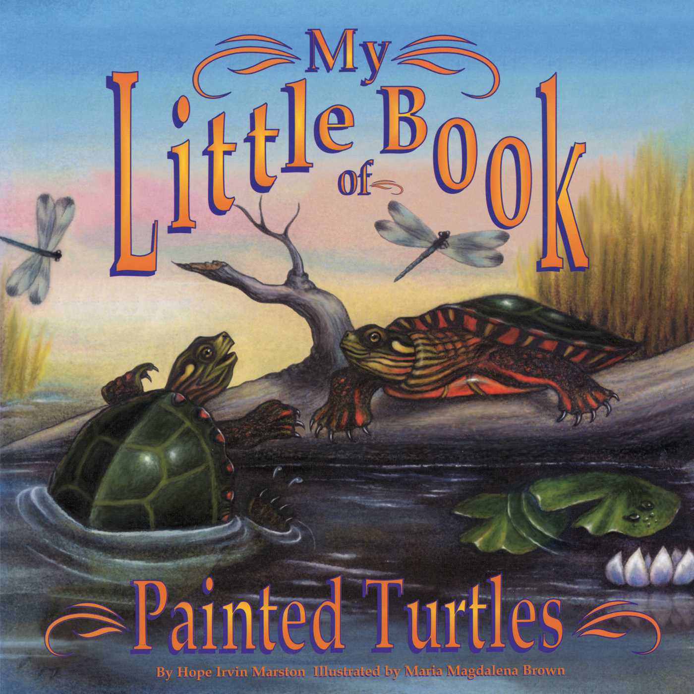 My Little Book of Painted Turtles by Hope Irvin Marston