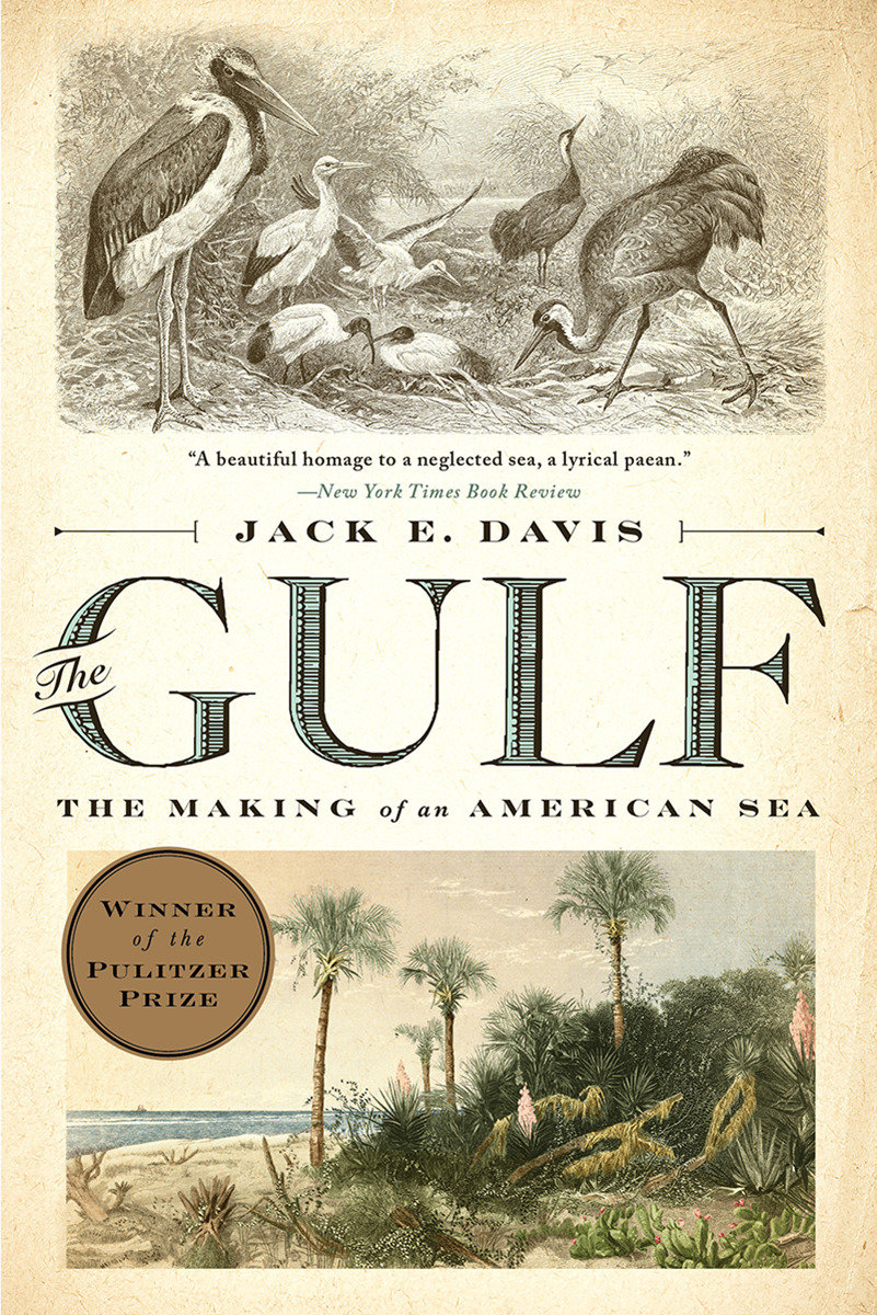 The Gulf by Jack E. Davis