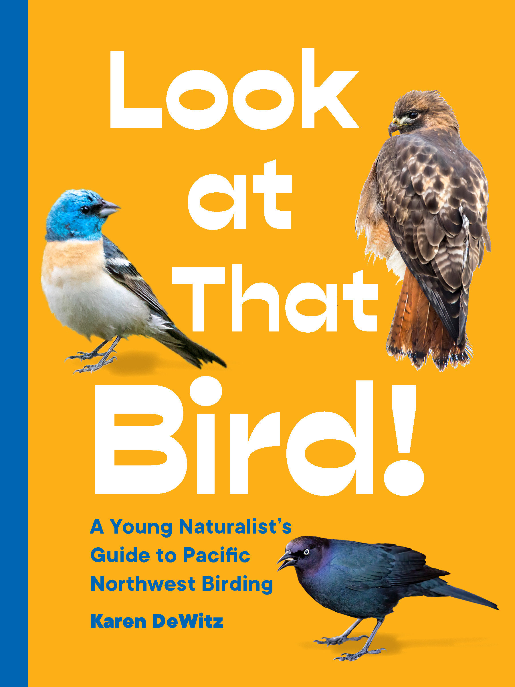 Look at That Bird! by Karen DeWitz