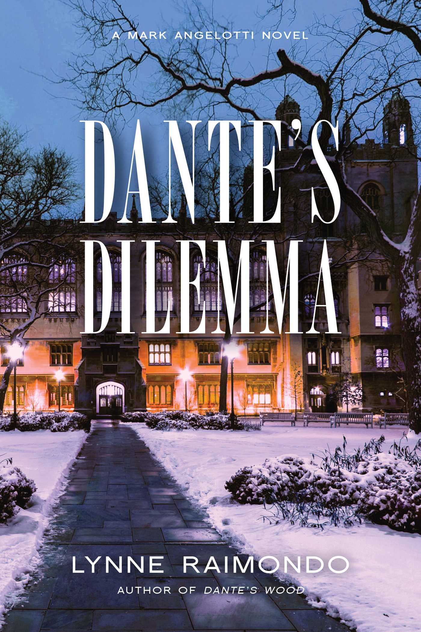 Dante's Dilemma by Lynne Raimondo