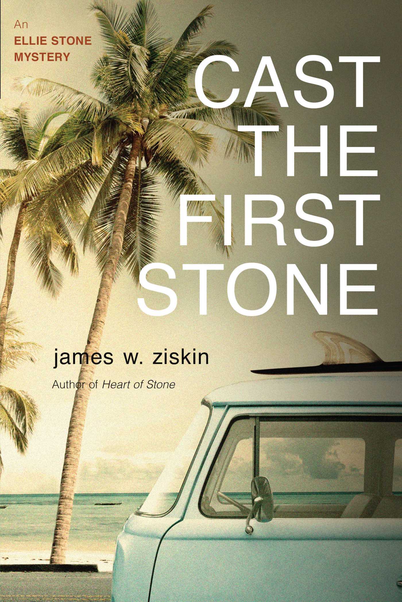 Cast the First Stone by James W. Ziskin