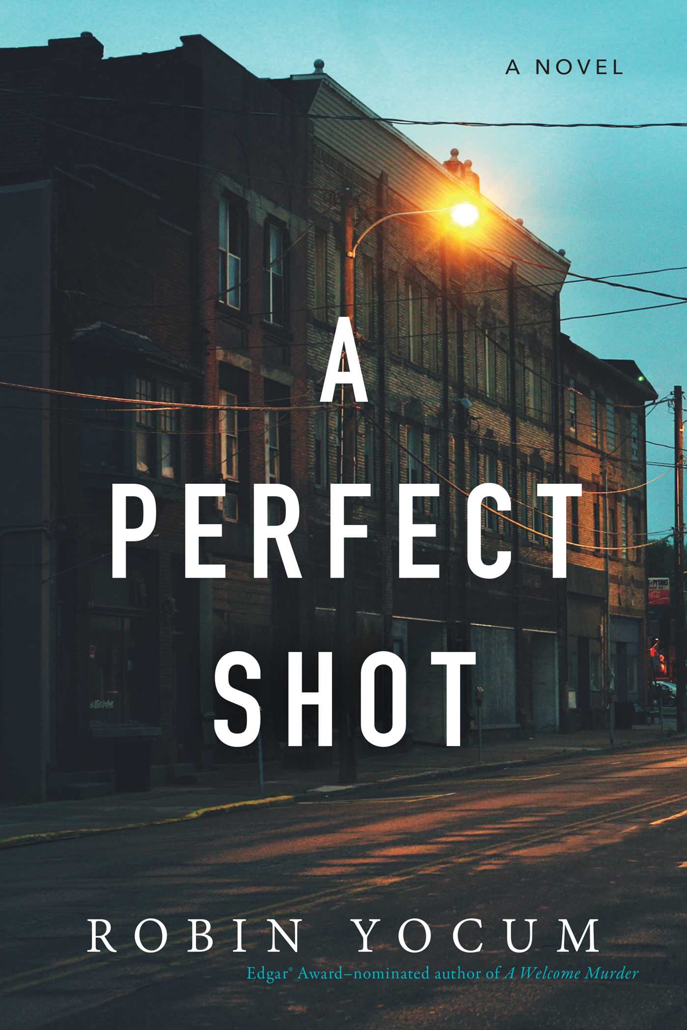 A Perfect Shot by Robin Yocum