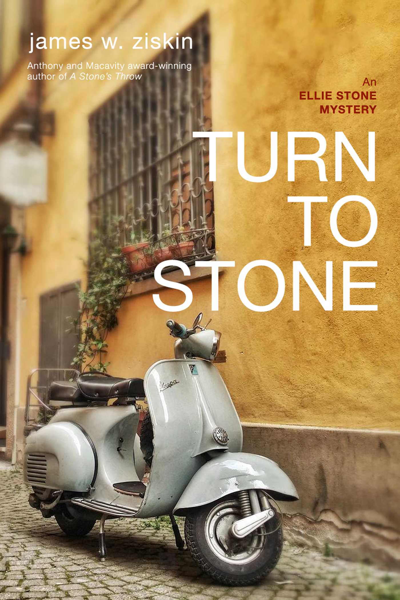 Turn to Stone by James W. Ziskin