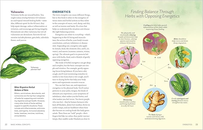 Herbal Gut Health by Maria Noel Groves