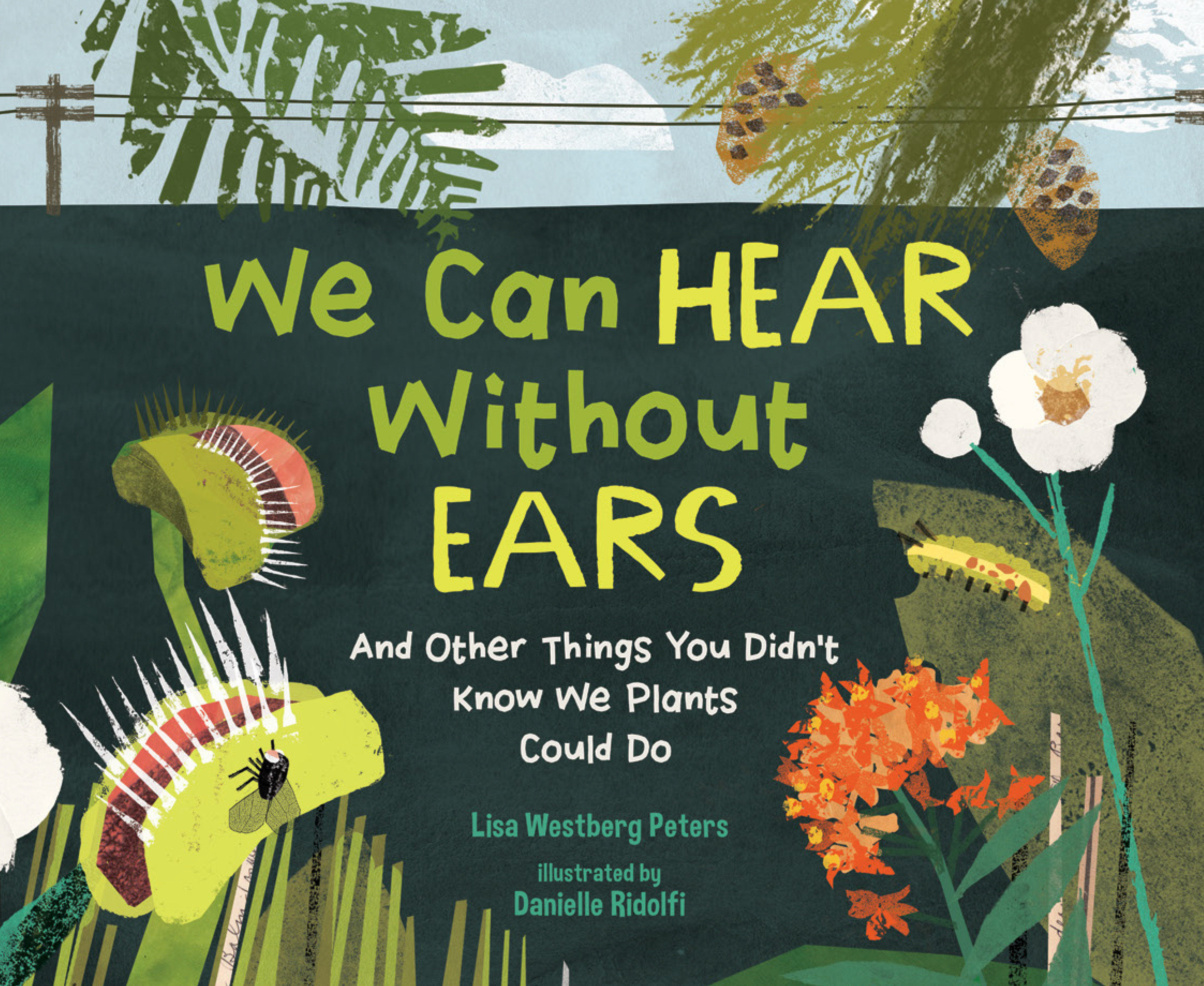 We Can Hear Without Ears by Lisa Westberg Peters
