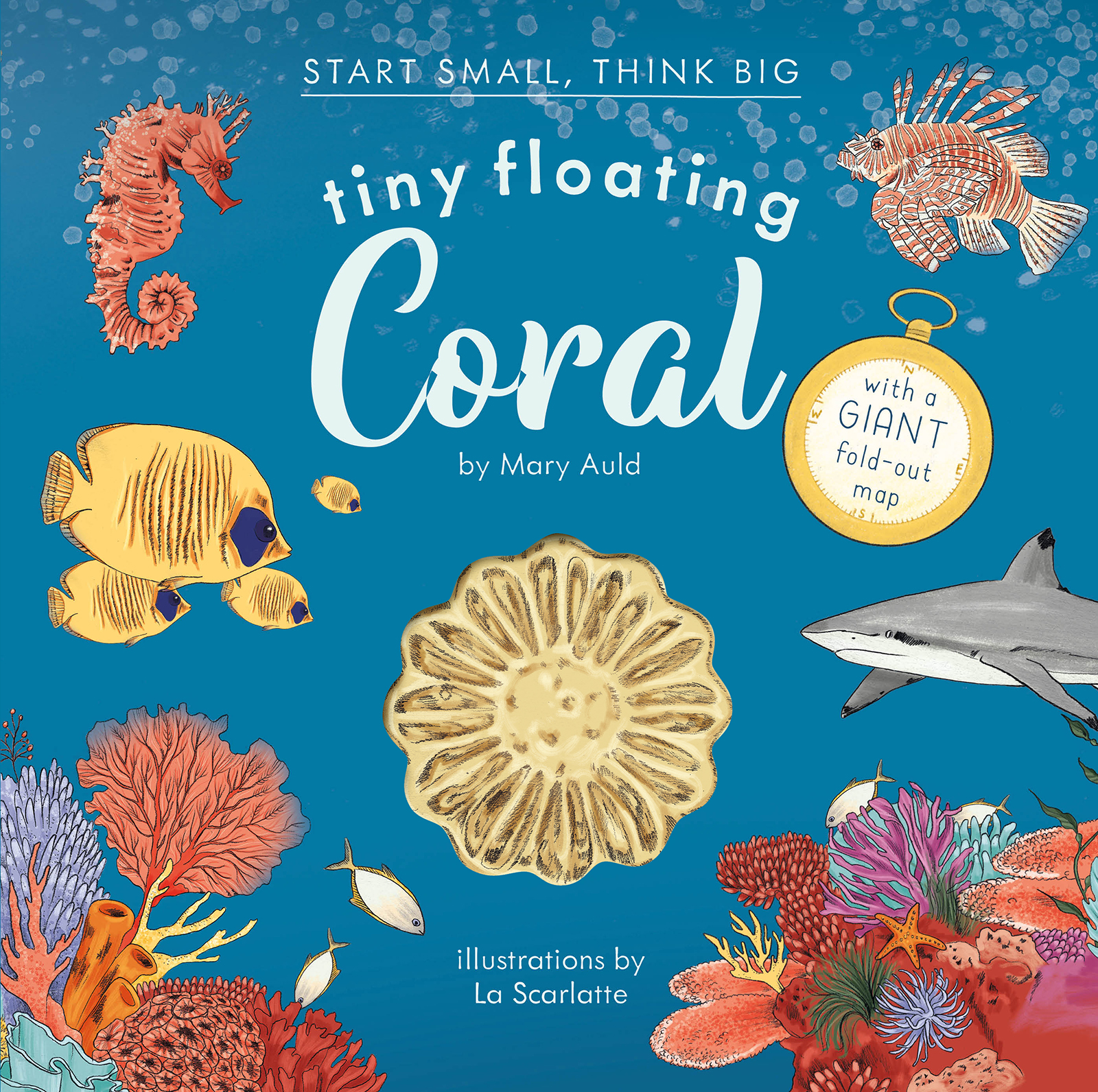 Tiny Floating Coral (start Small, Think Big #3) by Mary Auld