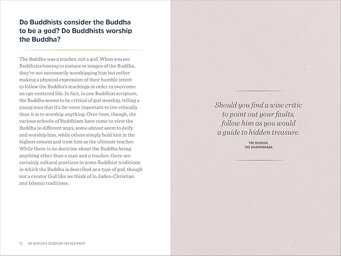 No-nonsense Buddhism for Beginners by Noah Rasheta
