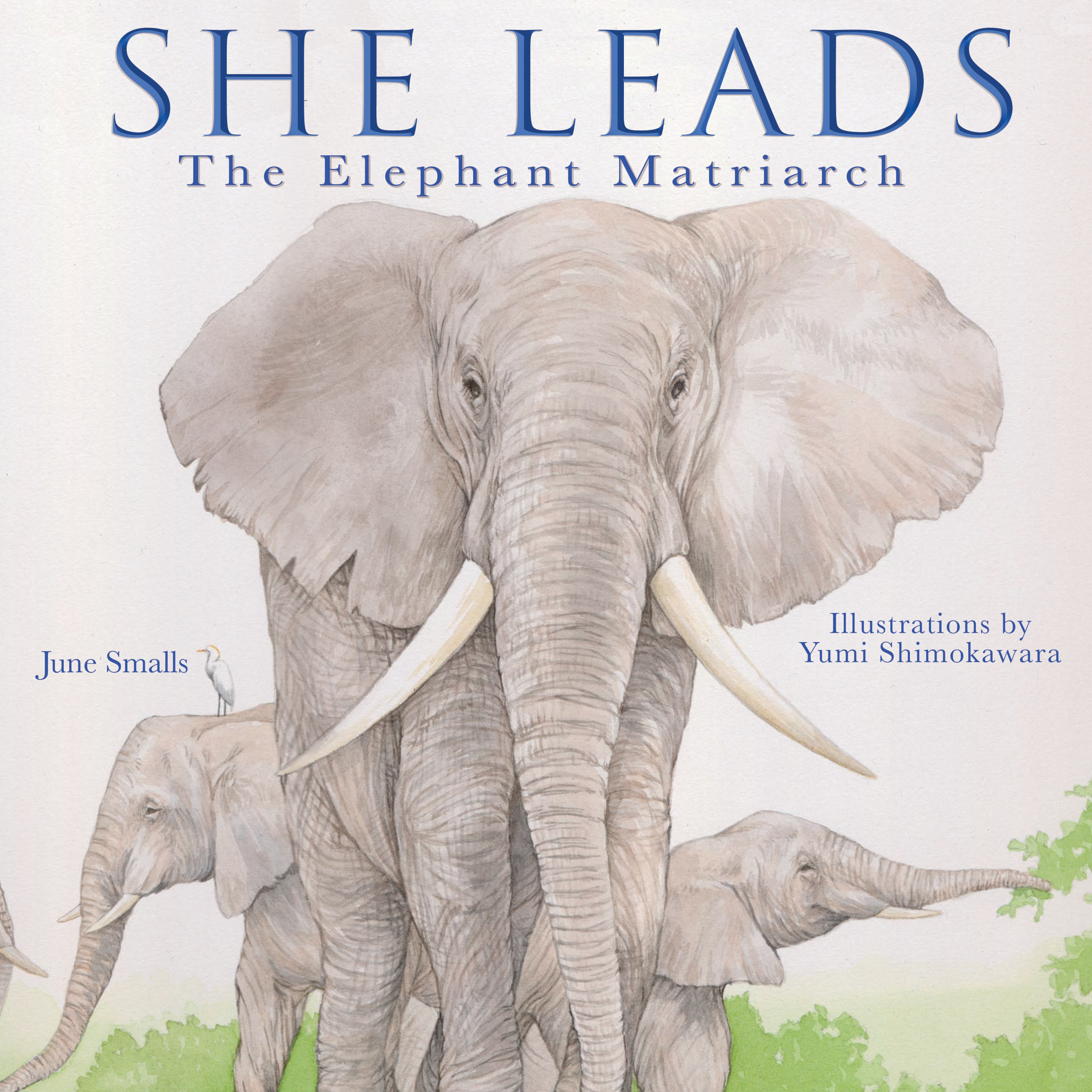 She Leads by June Smalls