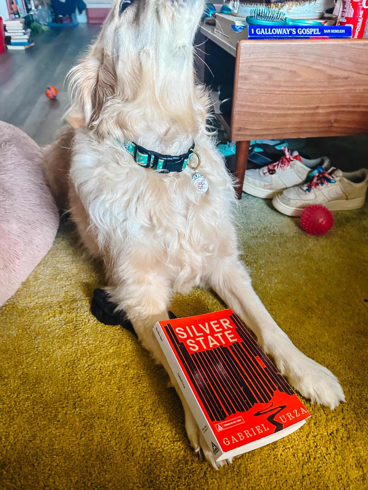 The Silver State by Timothy Andrés Pabon