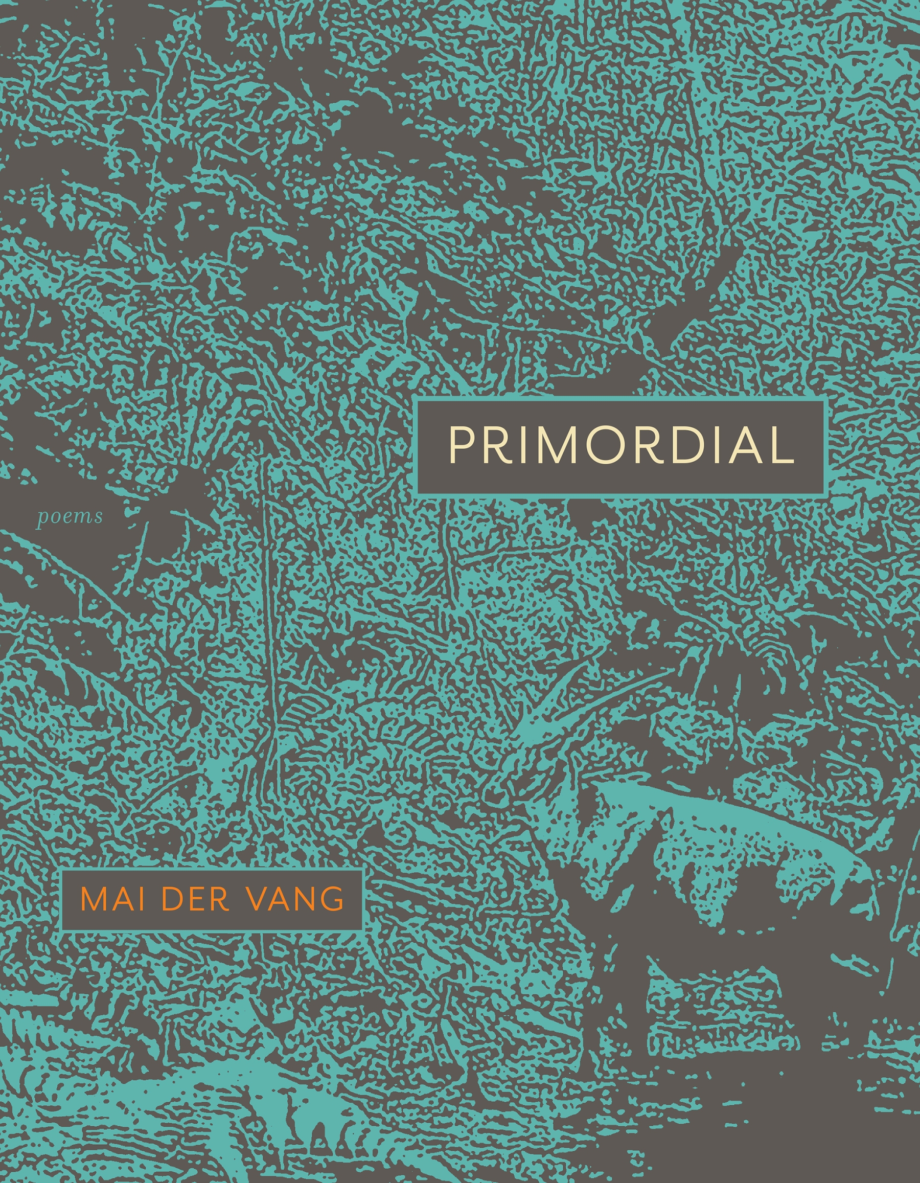 Primordial by Mai Der Vang