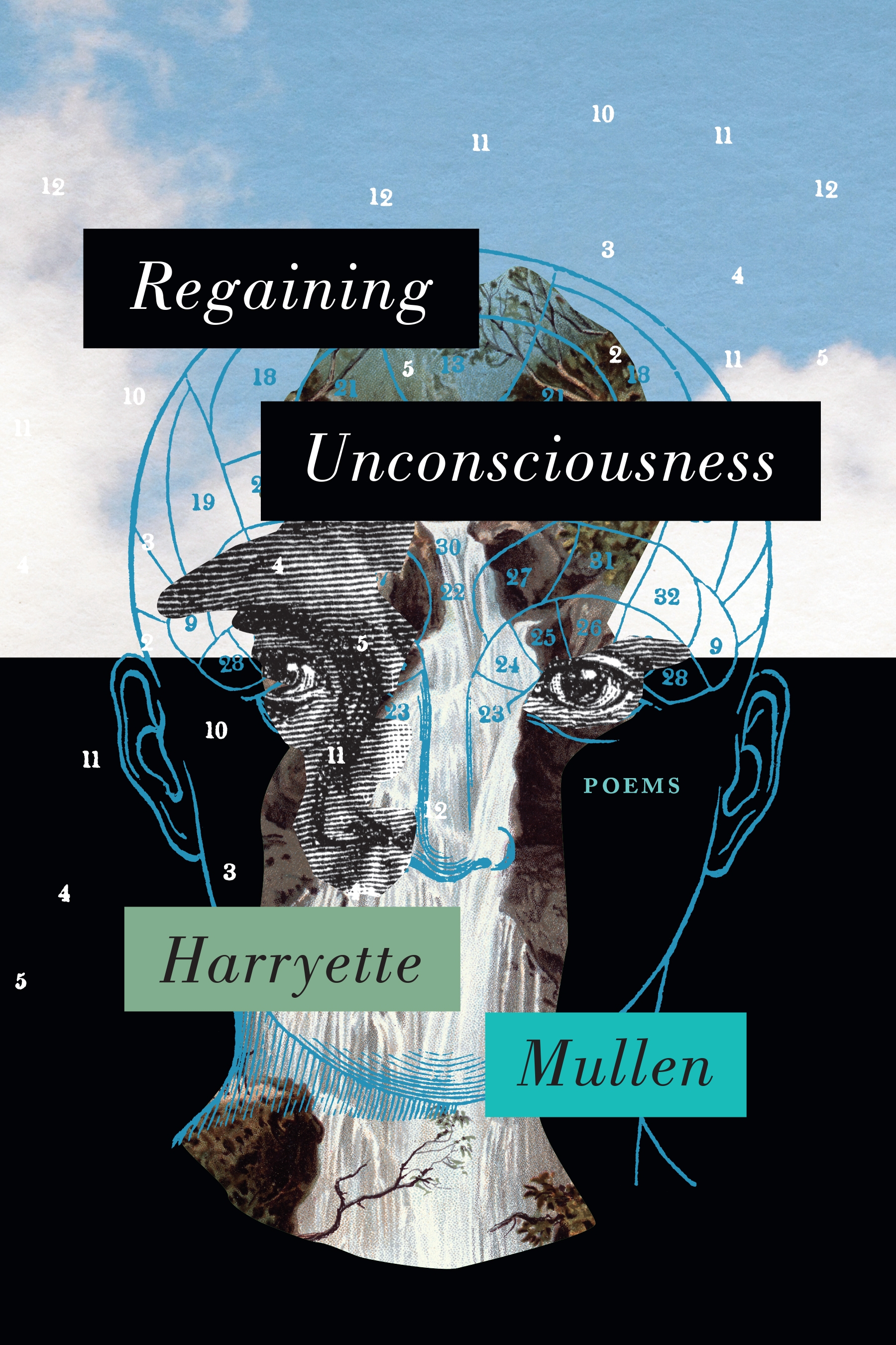 Regaining Unconsciousness by Harryette Mullen
