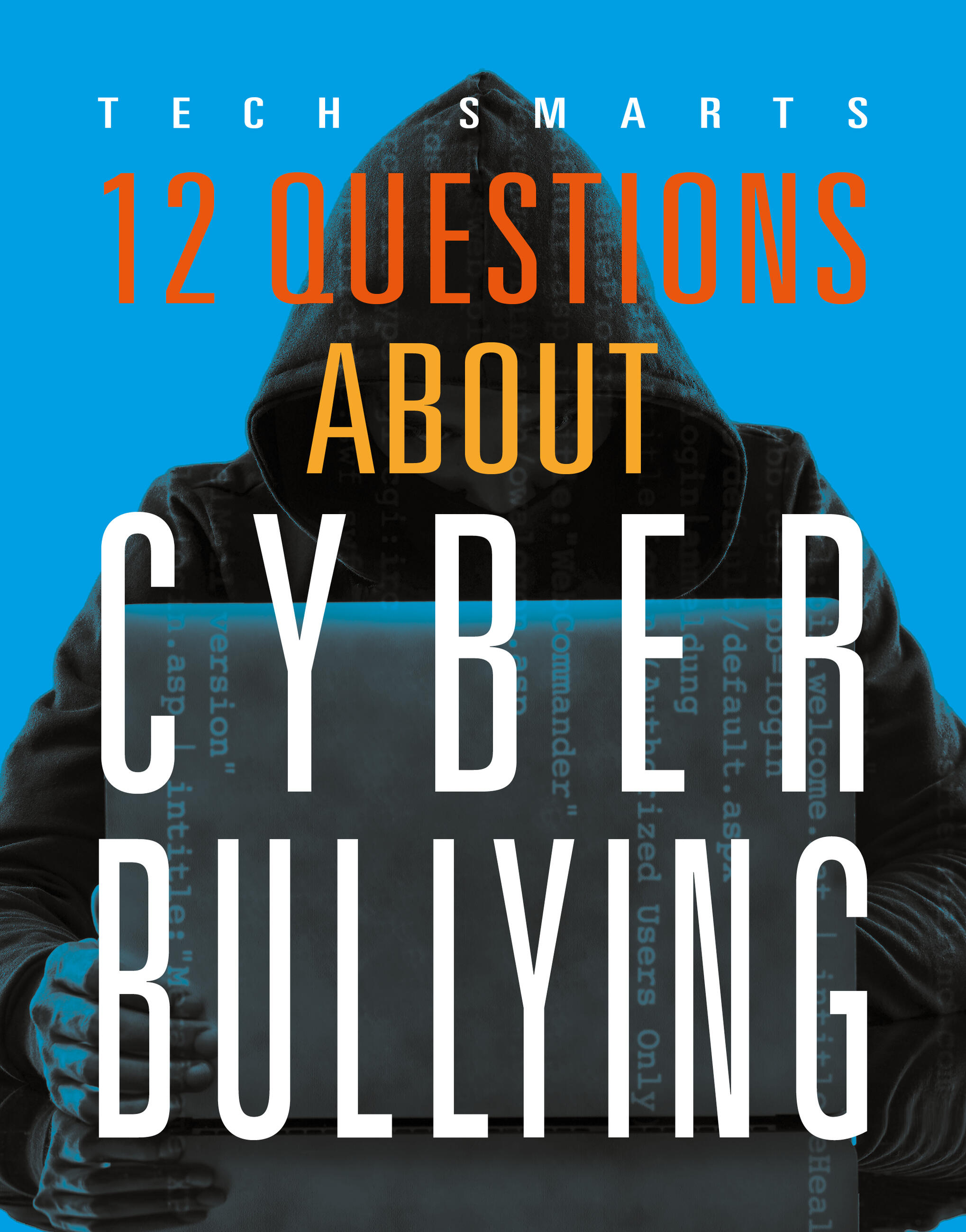 12 Questions About Cyberbullying by Angie Smibert